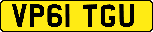 VP61TGU