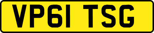 VP61TSG