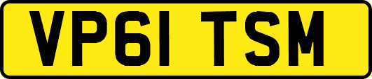 VP61TSM