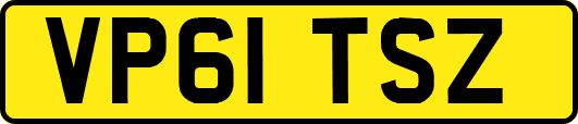 VP61TSZ