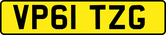 VP61TZG