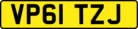 VP61TZJ