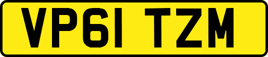 VP61TZM