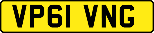 VP61VNG