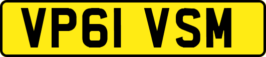VP61VSM