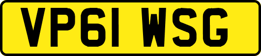 VP61WSG