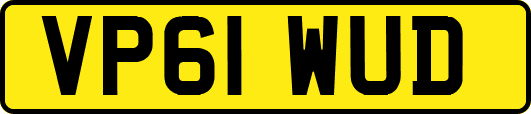 VP61WUD