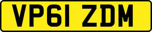 VP61ZDM