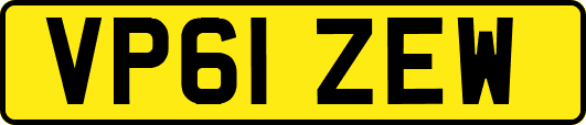 VP61ZEW