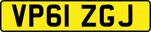 VP61ZGJ