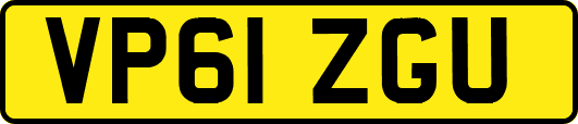 VP61ZGU