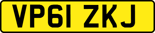 VP61ZKJ
