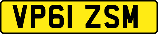 VP61ZSM