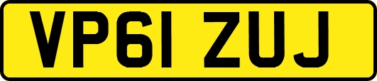 VP61ZUJ