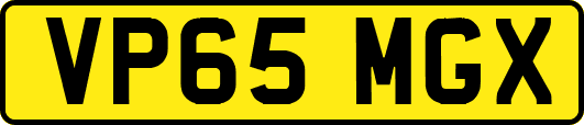VP65MGX