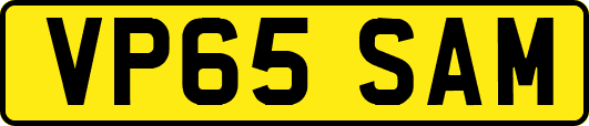 VP65SAM