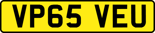 VP65VEU
