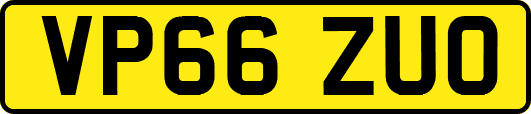 VP66ZUO