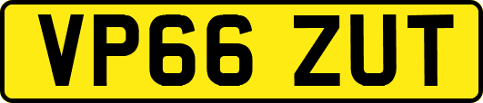 VP66ZUT