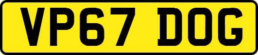 VP67DOG