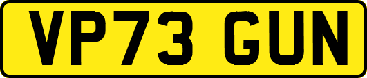 VP73GUN