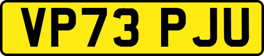 VP73PJU