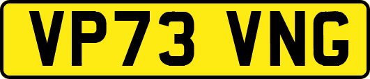 VP73VNG