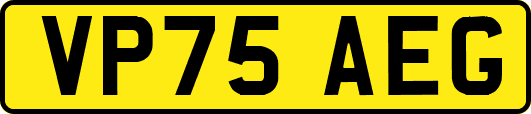 VP75AEG