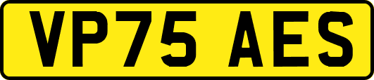 VP75AES