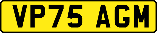 VP75AGM