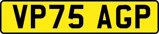VP75AGP