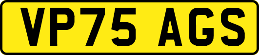 VP75AGS