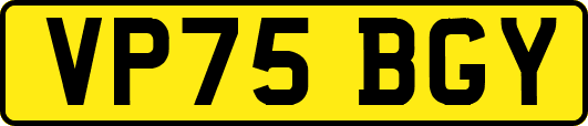 VP75BGY