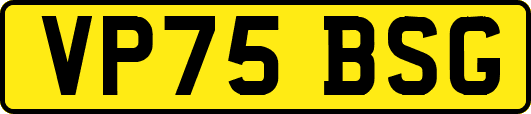 VP75BSG