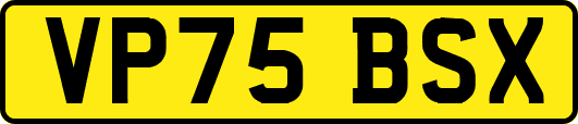 VP75BSX