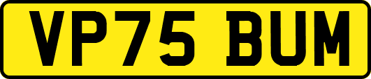 VP75BUM