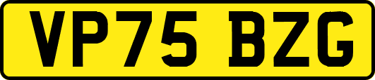 VP75BZG