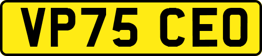VP75CEO