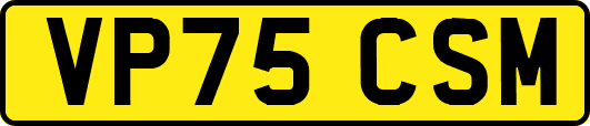 VP75CSM