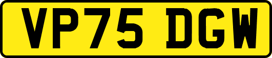 VP75DGW