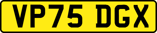 VP75DGX