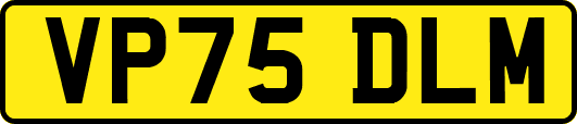 VP75DLM
