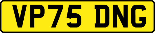 VP75DNG