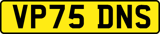VP75DNS