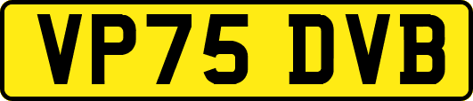 VP75DVB