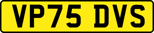 VP75DVS