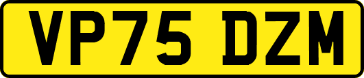 VP75DZM