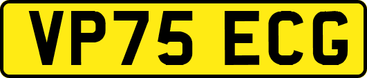 VP75ECG