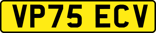 VP75ECV