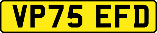 VP75EFD